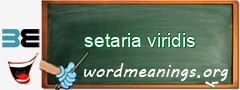 WordMeaning blackboard for setaria viridis